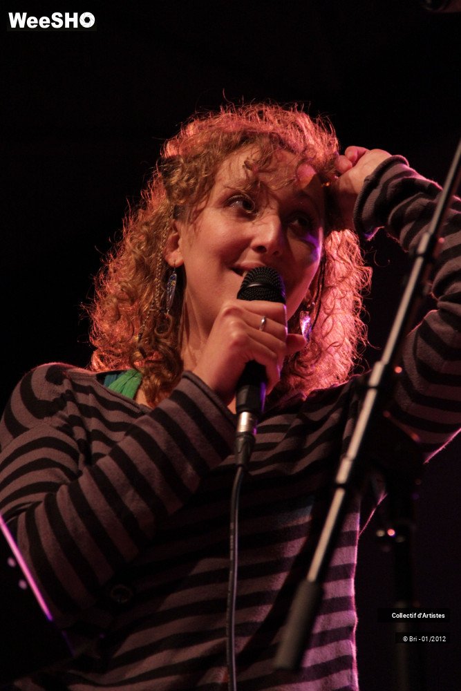32/48 photos du spectacle Hommage a Allain Leprest