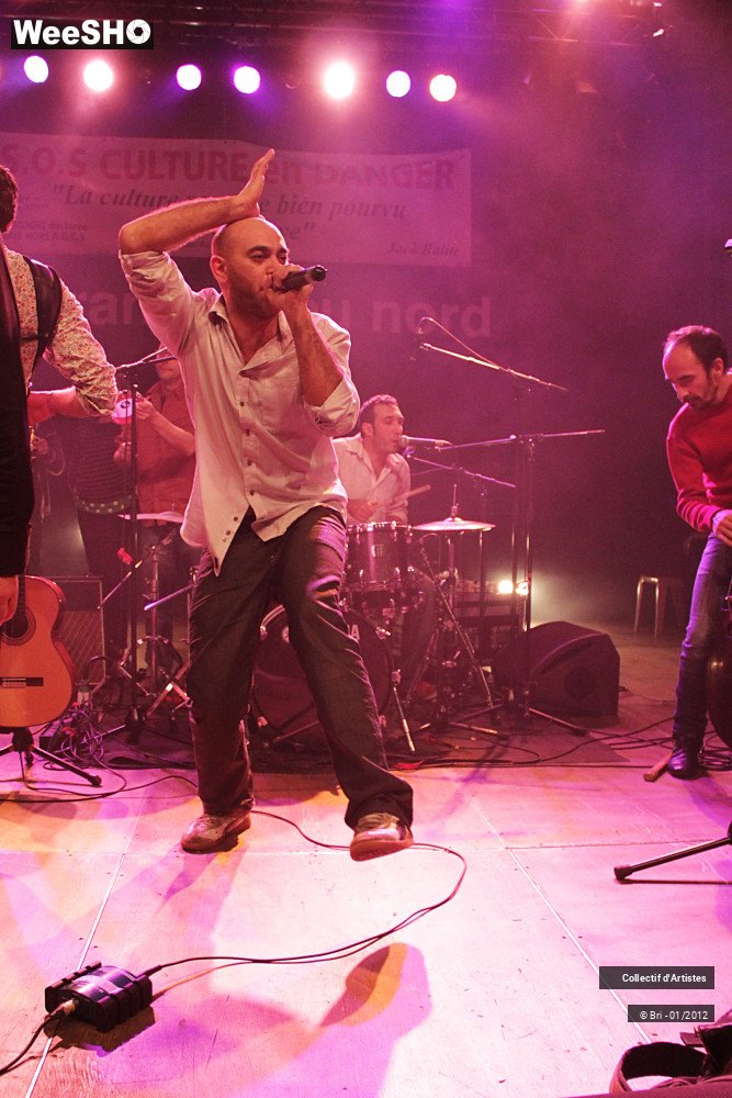 36/48 photos du spectacle Hommage a Allain Leprest