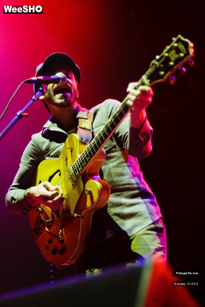 22/35 photos du spectacle Portugal The Man