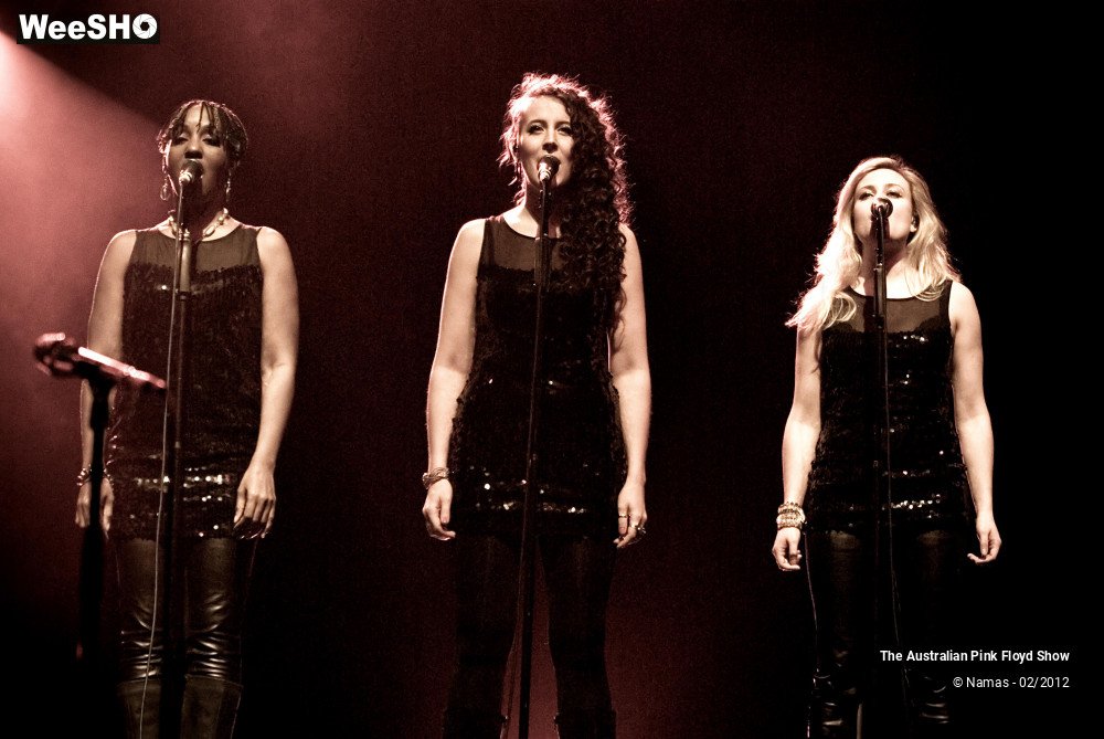1/28 photos du spectacle The Australian Pink Floyd Show