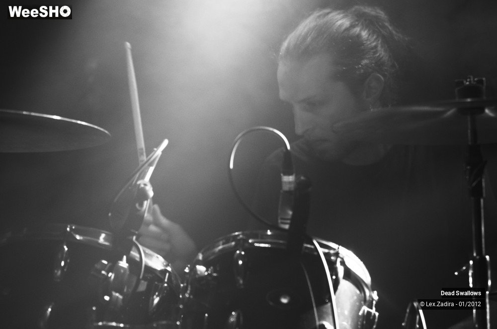 3/27 photos du spectacle Dead Swallows