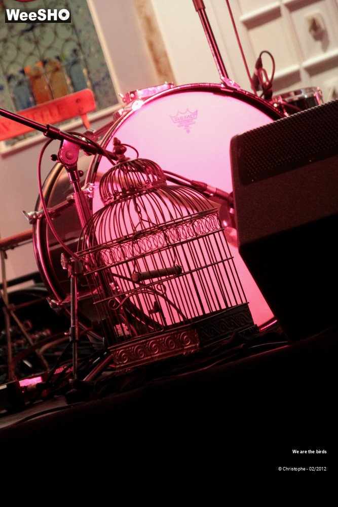 21/31 photos du spectacle We are the Birds
