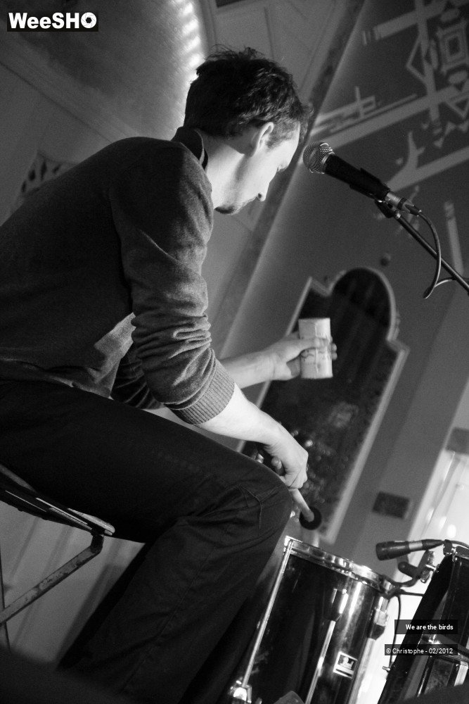 28/31 photos du spectacle We are the Birds