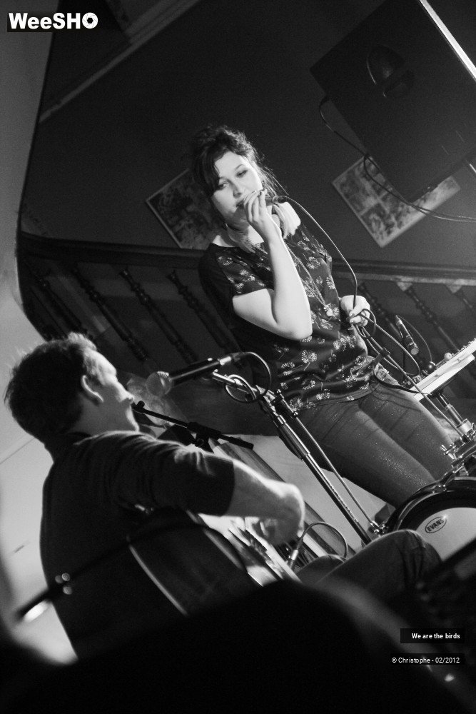 29/31 photos du spectacle We are the Birds