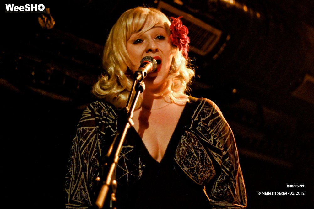 34/41 photos du spectacle Vandaveer
