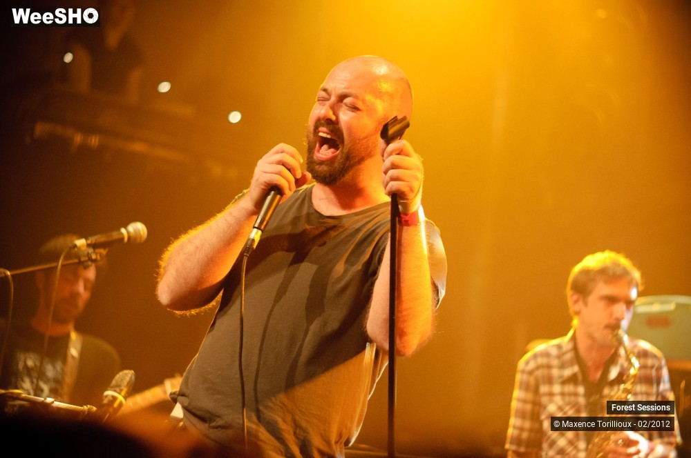 23/37 photos du spectacle Forest Sessions #3