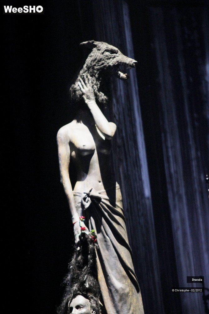 37/47 photos du spectacle Dracula