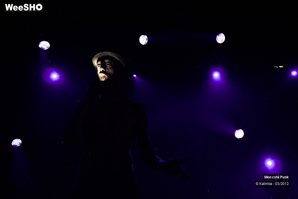 11/47 photos du spectacle Mon Coté Punk