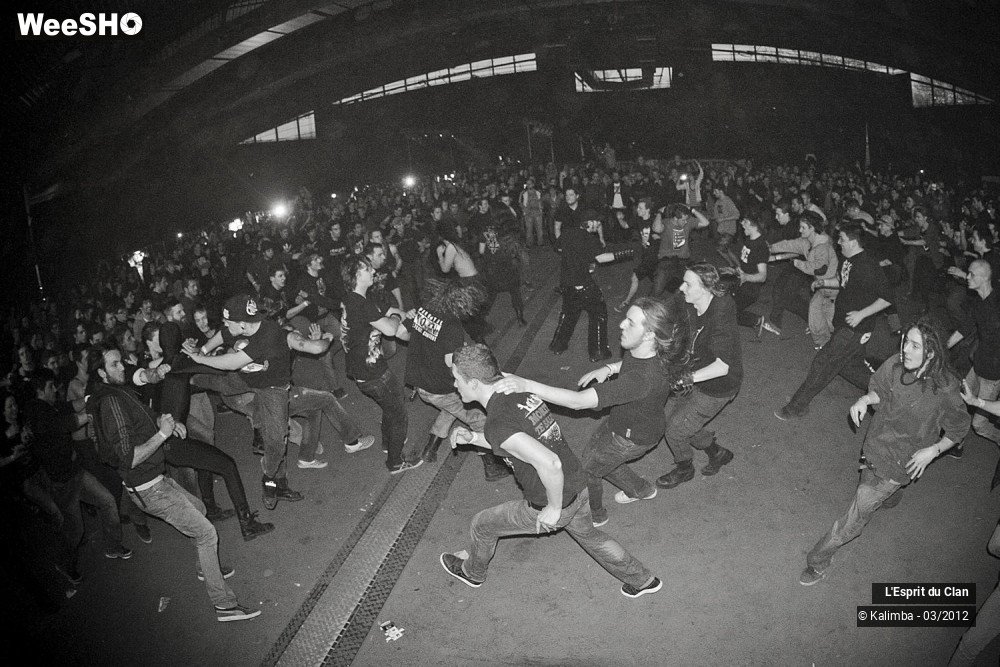 23/41 photos du spectacle L'Esprit du Clan