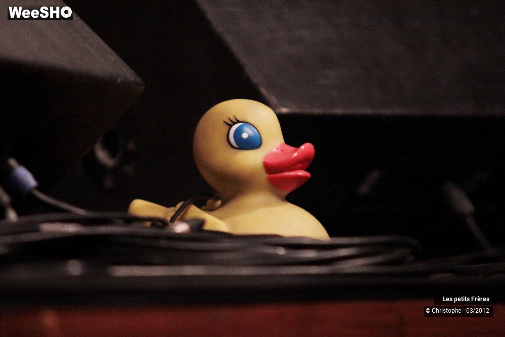 13/30 photos du spectacle Les petits frères