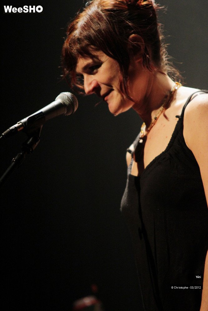 13/40 photos du spectacle Yéti