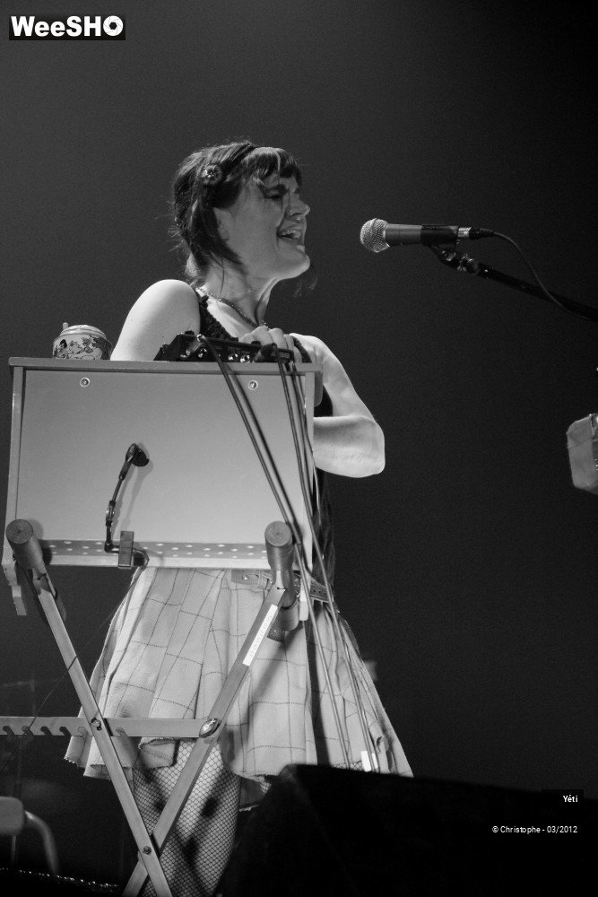 27/40 photos du spectacle Yéti