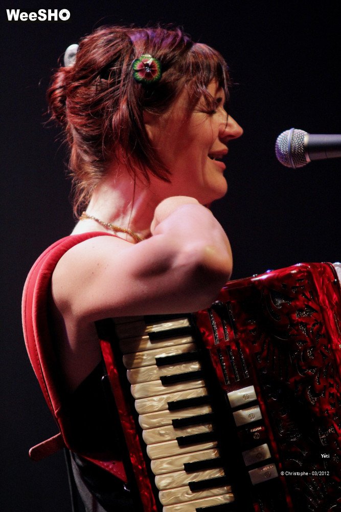 29/40 photos du spectacle Yéti