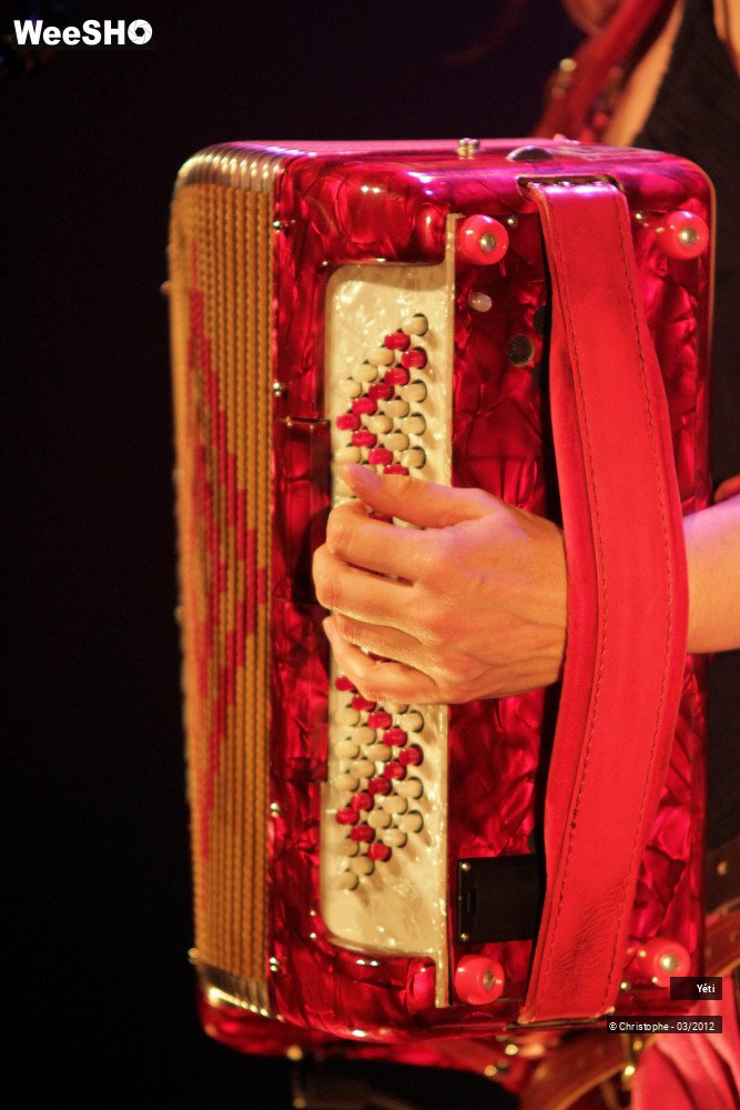 34/40 photos du spectacle Yéti