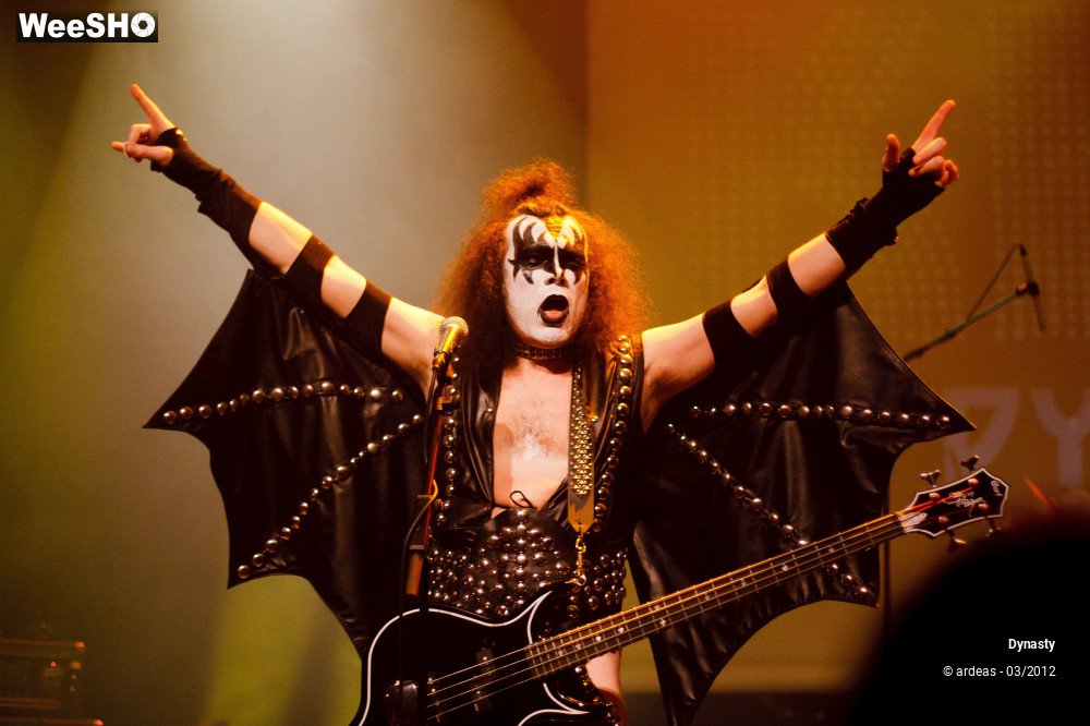 4/36 photos du spectacle Dynasty
