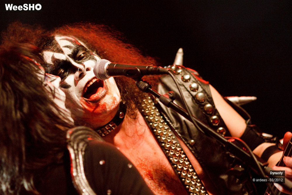 10/36 photos du spectacle Dynasty