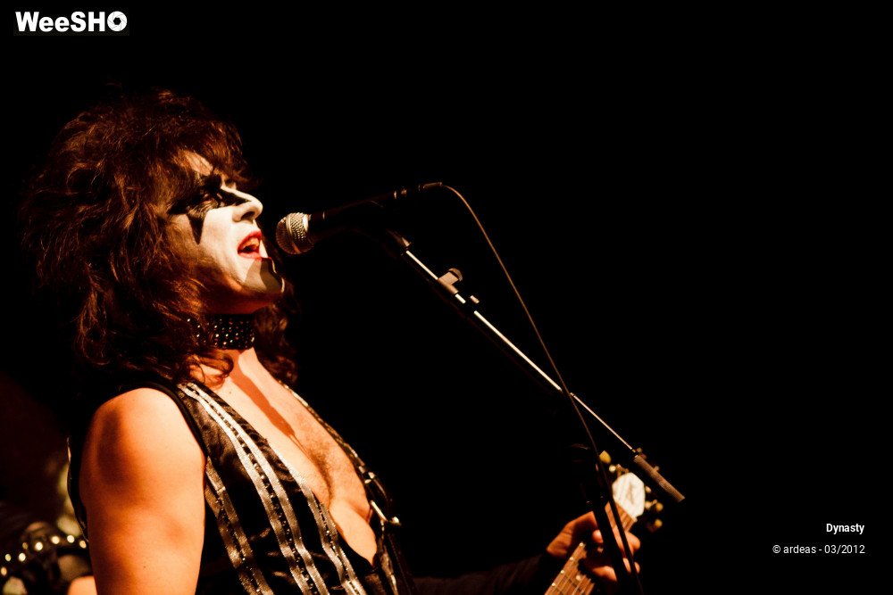 13/36 photos du spectacle Dynasty