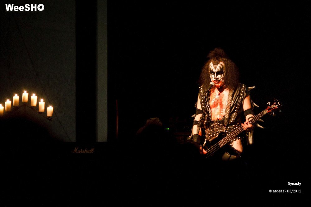 17/36 photos du spectacle Dynasty