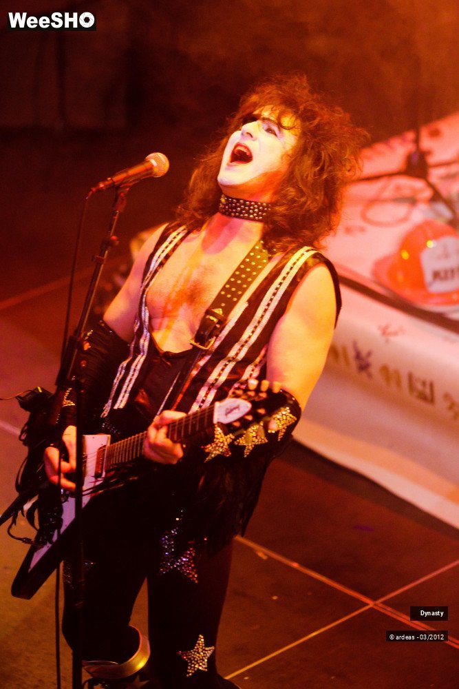 27/36 photos du spectacle Dynasty