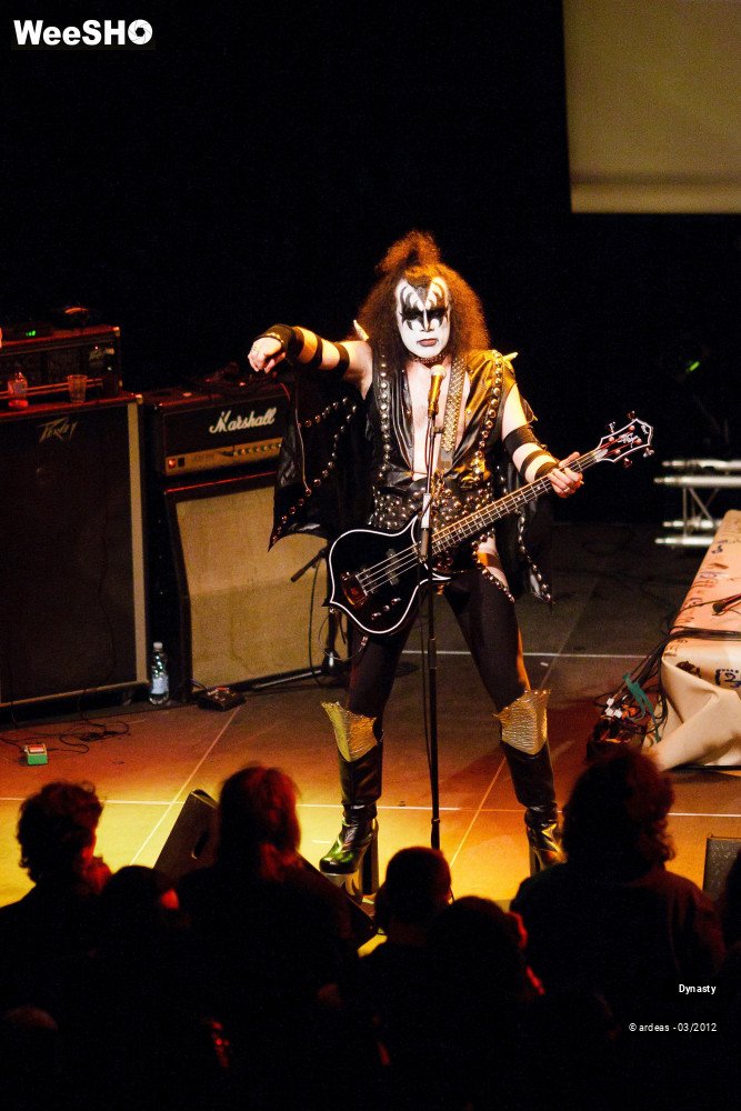 28/36 photos du spectacle Dynasty