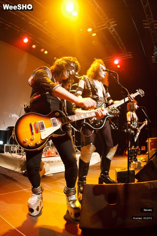 29/36 photos du spectacle Dynasty