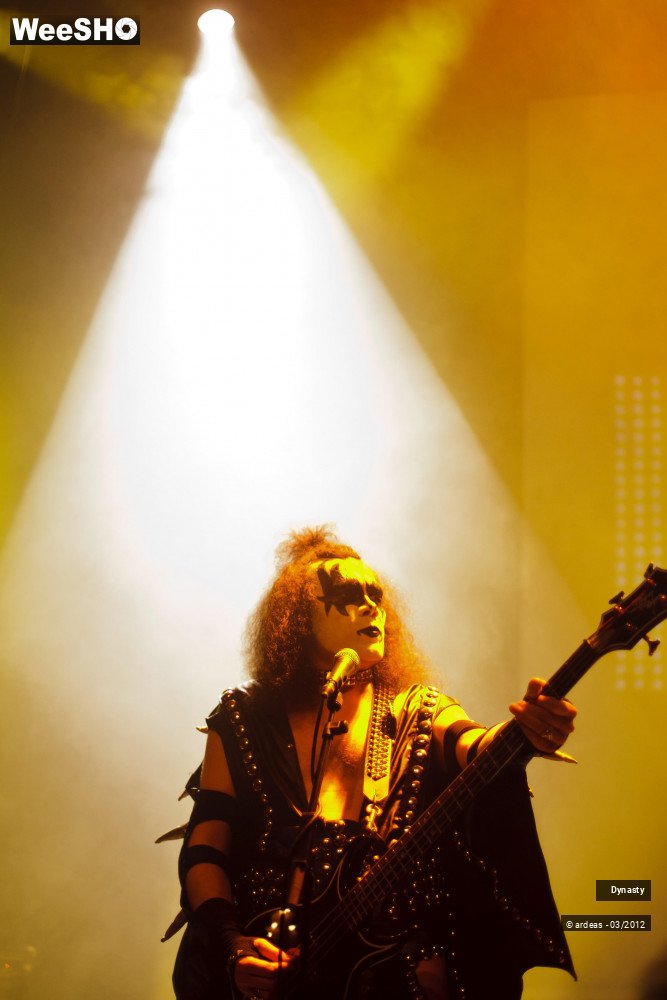 30/36 photos du spectacle Dynasty