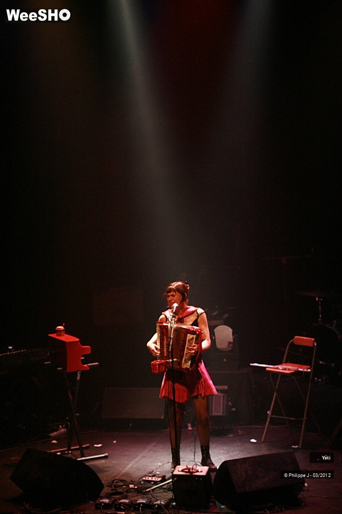 16/20 photos du spectacle Yéti