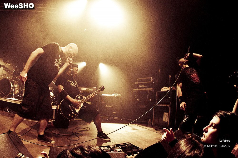 20/48 photos du spectacle Lofofora