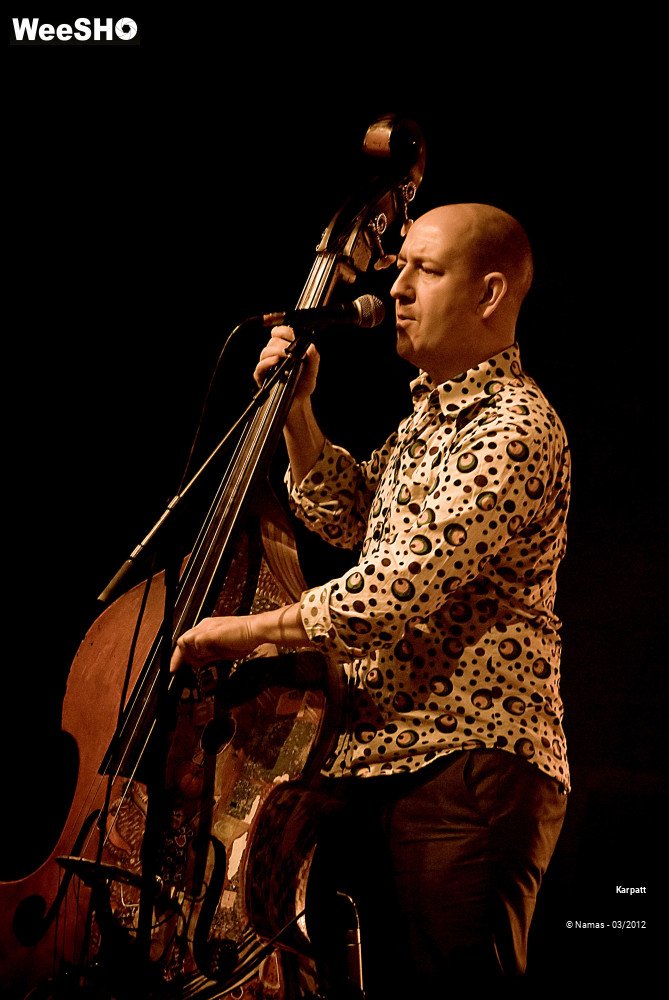 34/48 photos du spectacle Karpatt