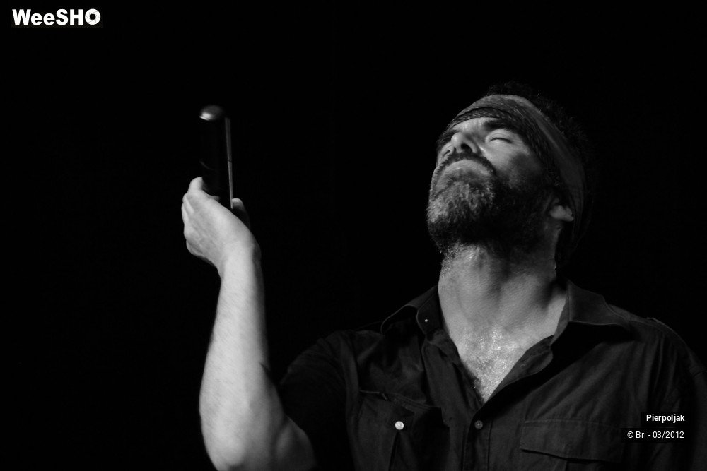 17/40 photos du spectacle Pierpoljak