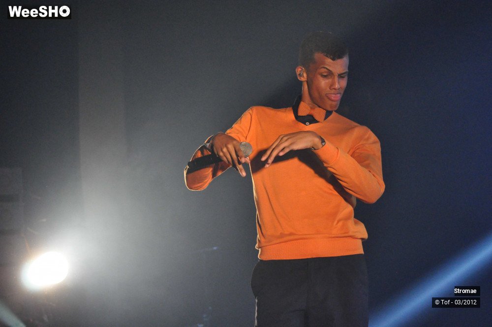 28/46 photos du spectacle Stromae