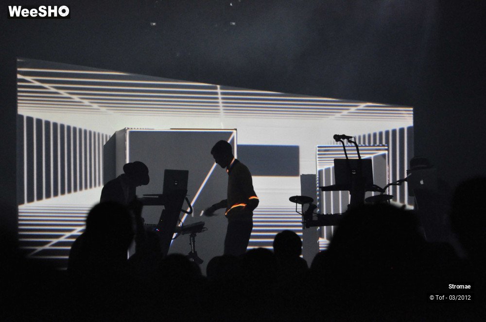 35/46 photos du spectacle Stromae