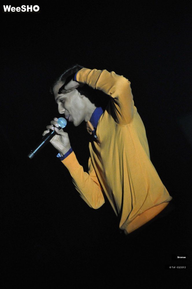 38/46 photos du spectacle Stromae