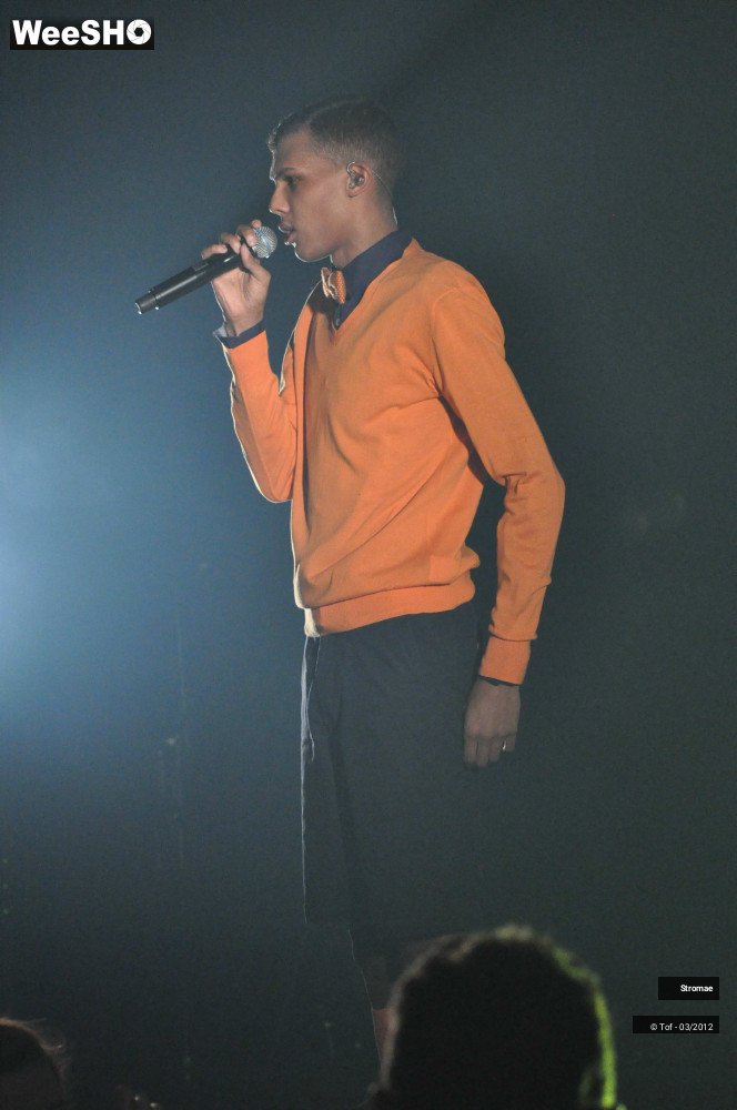 39/46 photos du spectacle Stromae