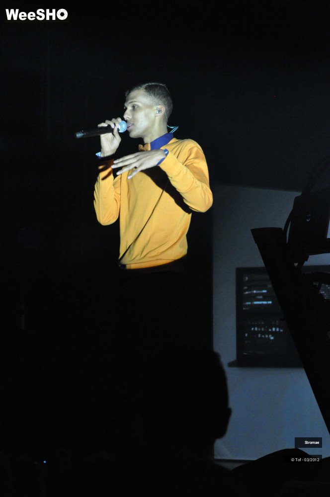 42/46 photos du spectacle Stromae