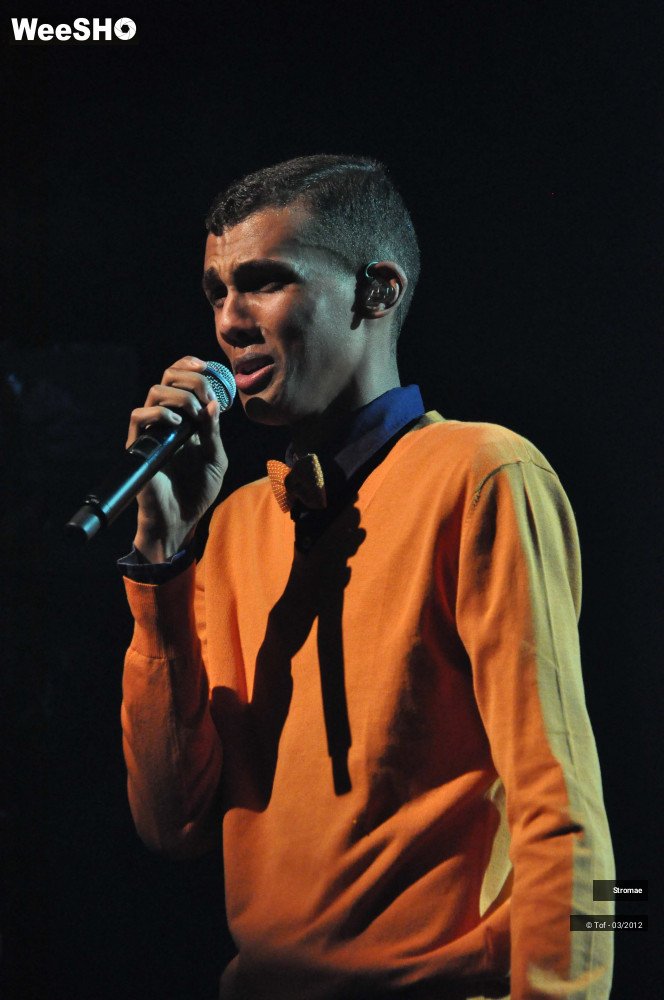45/46 photos du spectacle Stromae