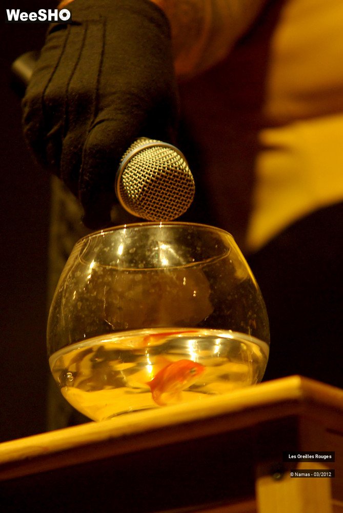 22/26 photos du spectacle Les Oreilles Rouges