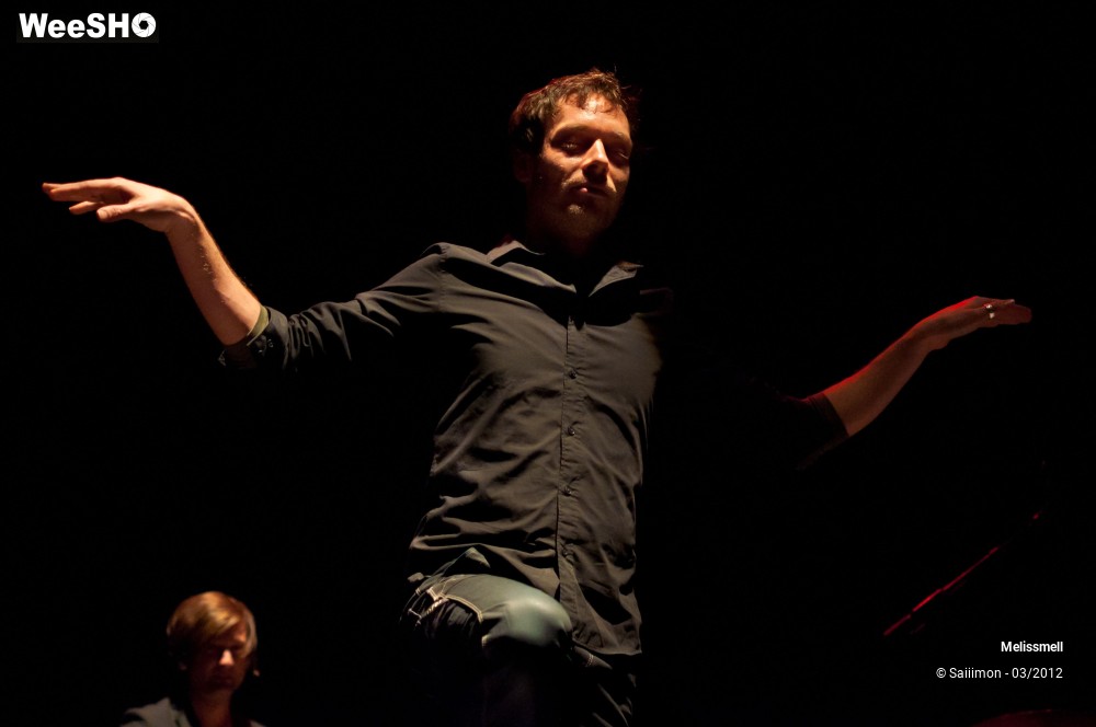 15/41 photos du spectacle Melissmel