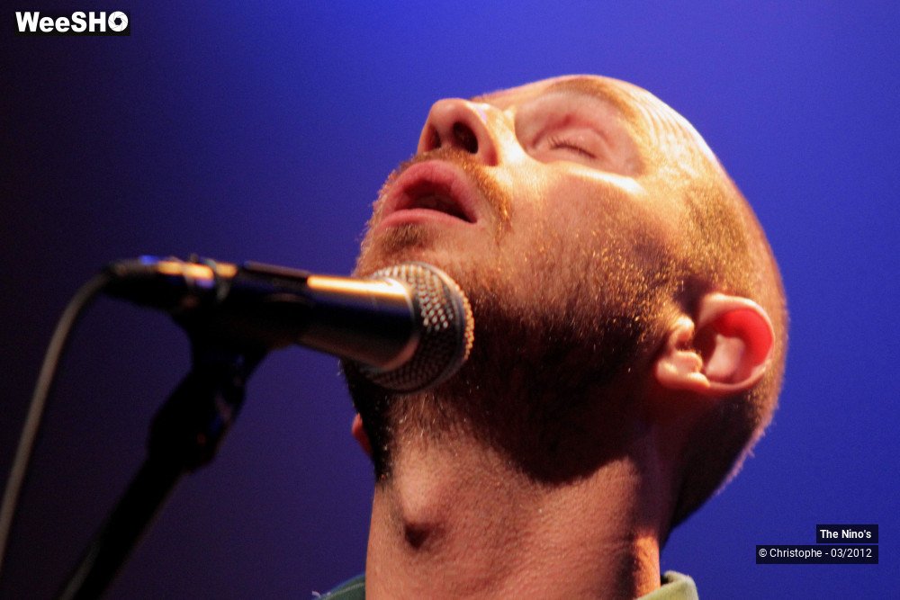 18/50 photos du spectacle The Nino's