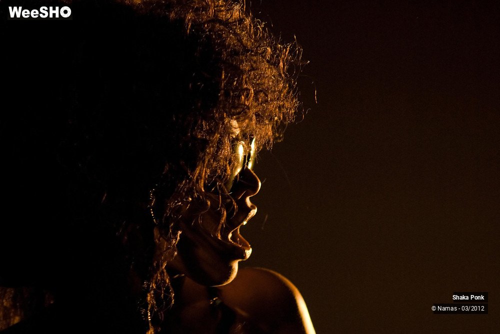 2/49 photos du spectacle Shaka Ponk