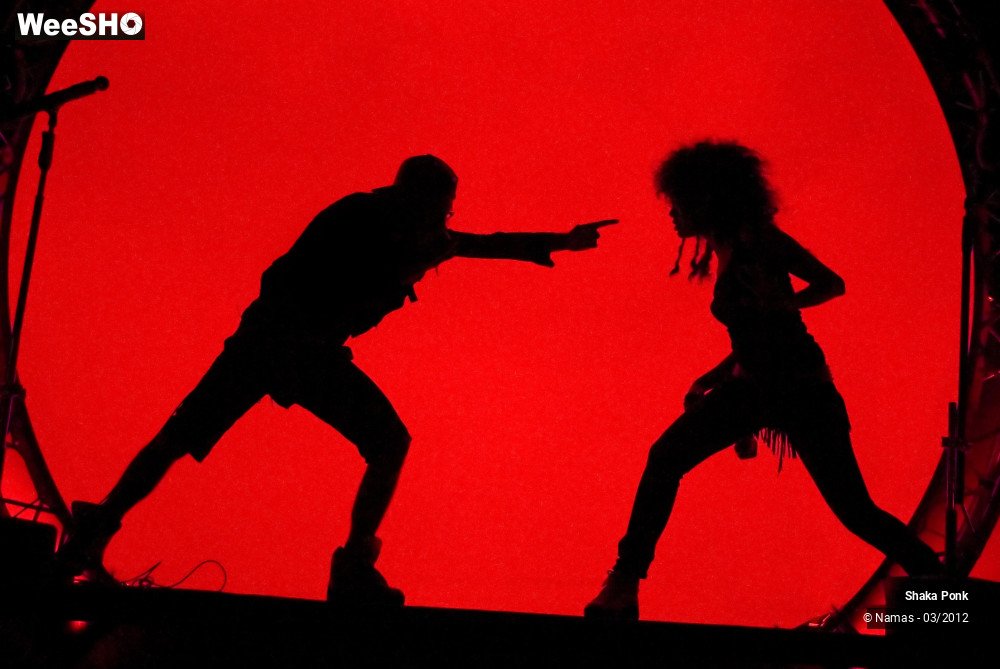 16/49 photos du spectacle Shaka Ponk
