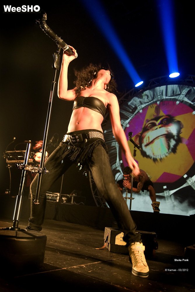 31/49 photos du spectacle Shaka Ponk