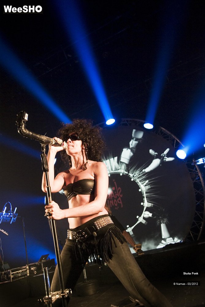 32/49 photos du spectacle Shaka Ponk