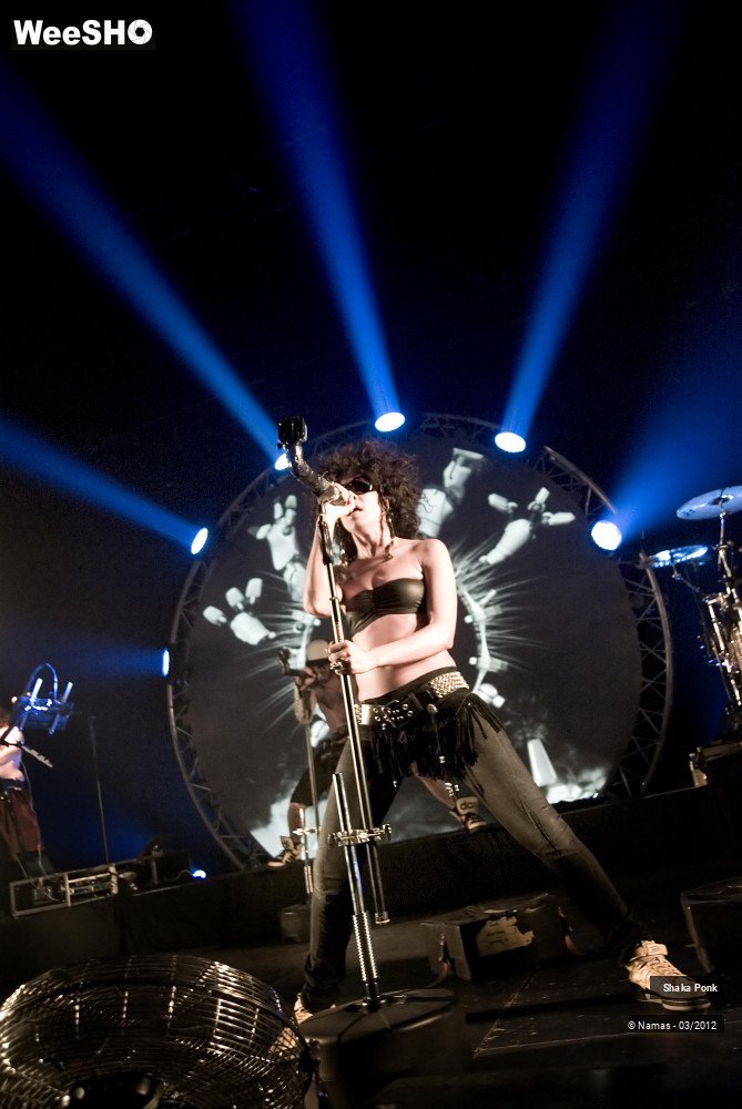 43/49 photos du spectacle Shaka Ponk