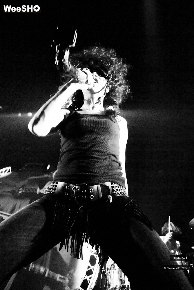 47/49 photos du spectacle Shaka Ponk