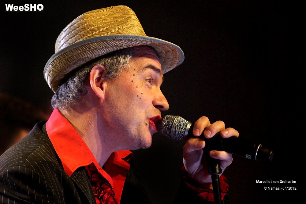 16/29 photos du spectacle Marcel et son Orchestre acoustique