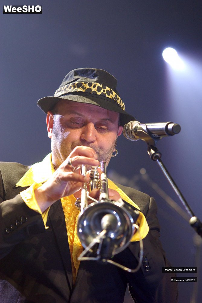 28/29 photos du spectacle Marcel et son Orchestre acoustique