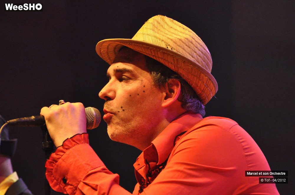 13/32 photos du spectacle Marcel et son Orchestre - Acoustique