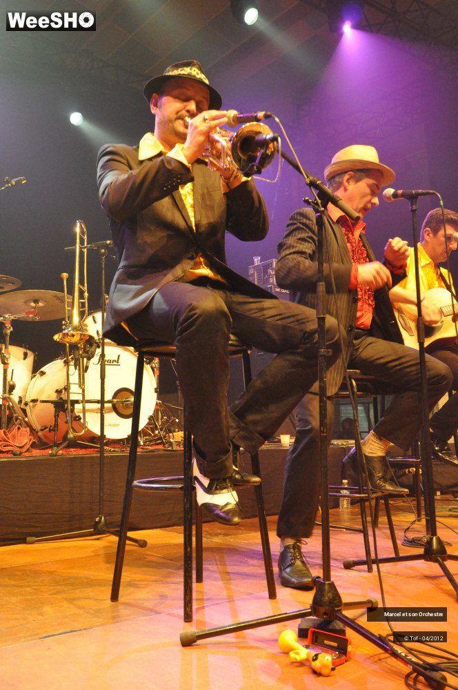 29/32 photos du spectacle Marcel et son Orchestre - Acoustique