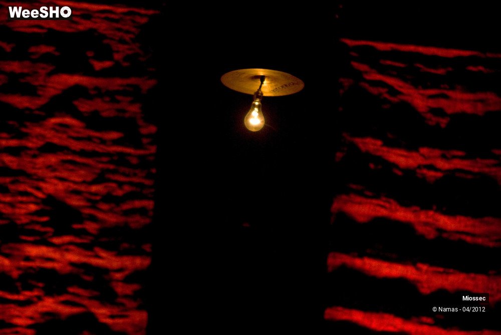 17/37 photos du spectacle Miossec